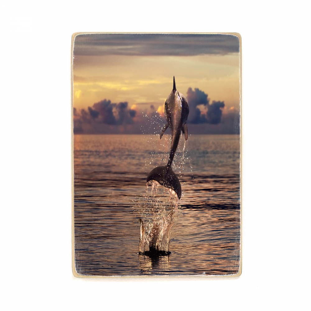 

Деревянный постер Животные Dolphin Jumping Into The Sea А2