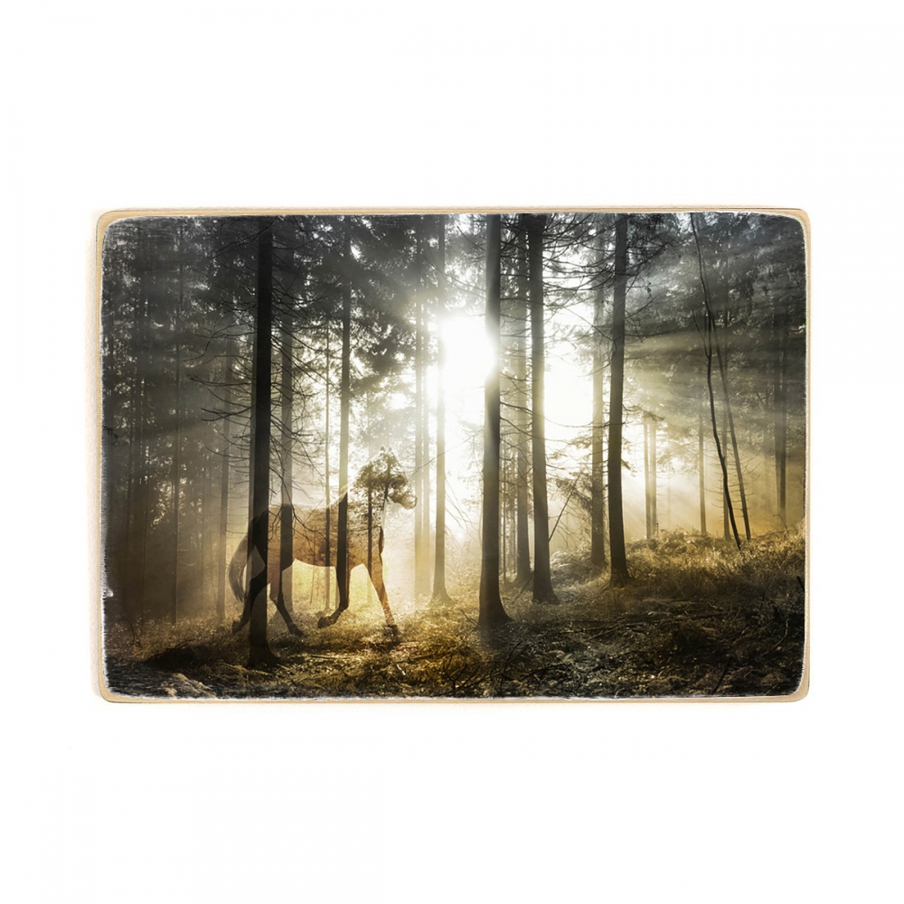 

Деревянный постер Мистика и фантастика Unicorn In A Magic Forest А1