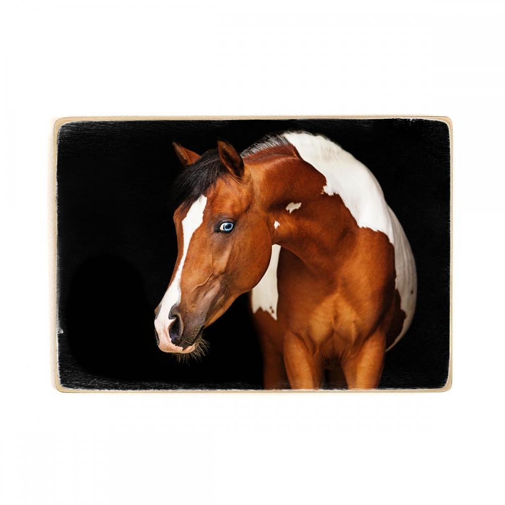 

Деревянный постер Животные портрет лошади с голубыми глазами А1