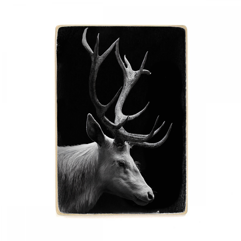 

Деревянный постер Животные Black Deer А1
