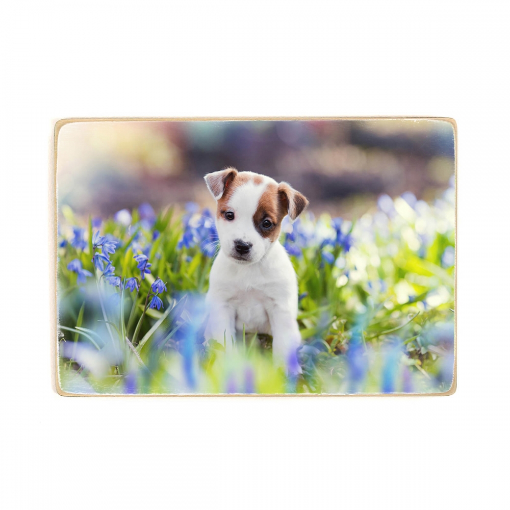 

Деревянный постер Животные Puppy Sitting In Flowers А2