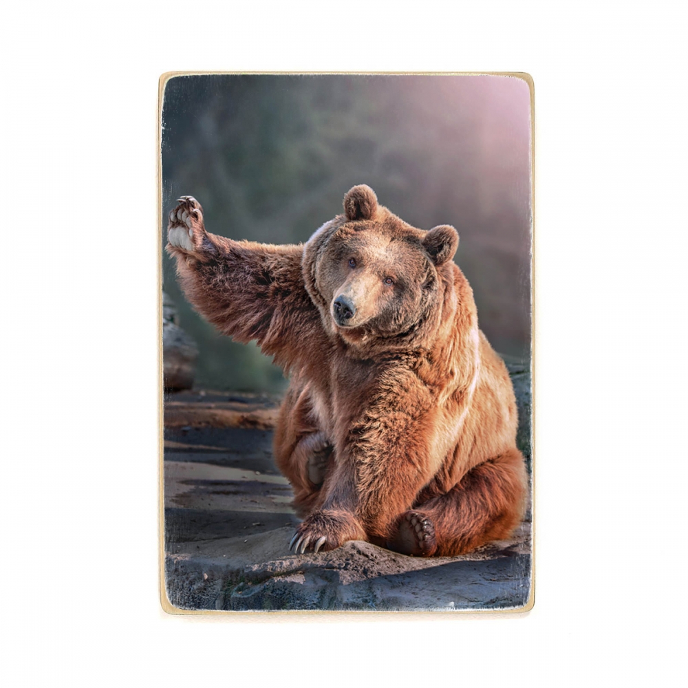 

Деревянный постер Животные большой бурый медведь сидит и машет лапой А2