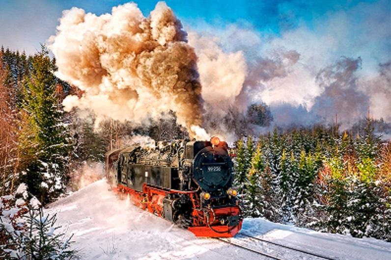 

Кастор пазлы 1000 "Паровоз" 68*47 C-103409