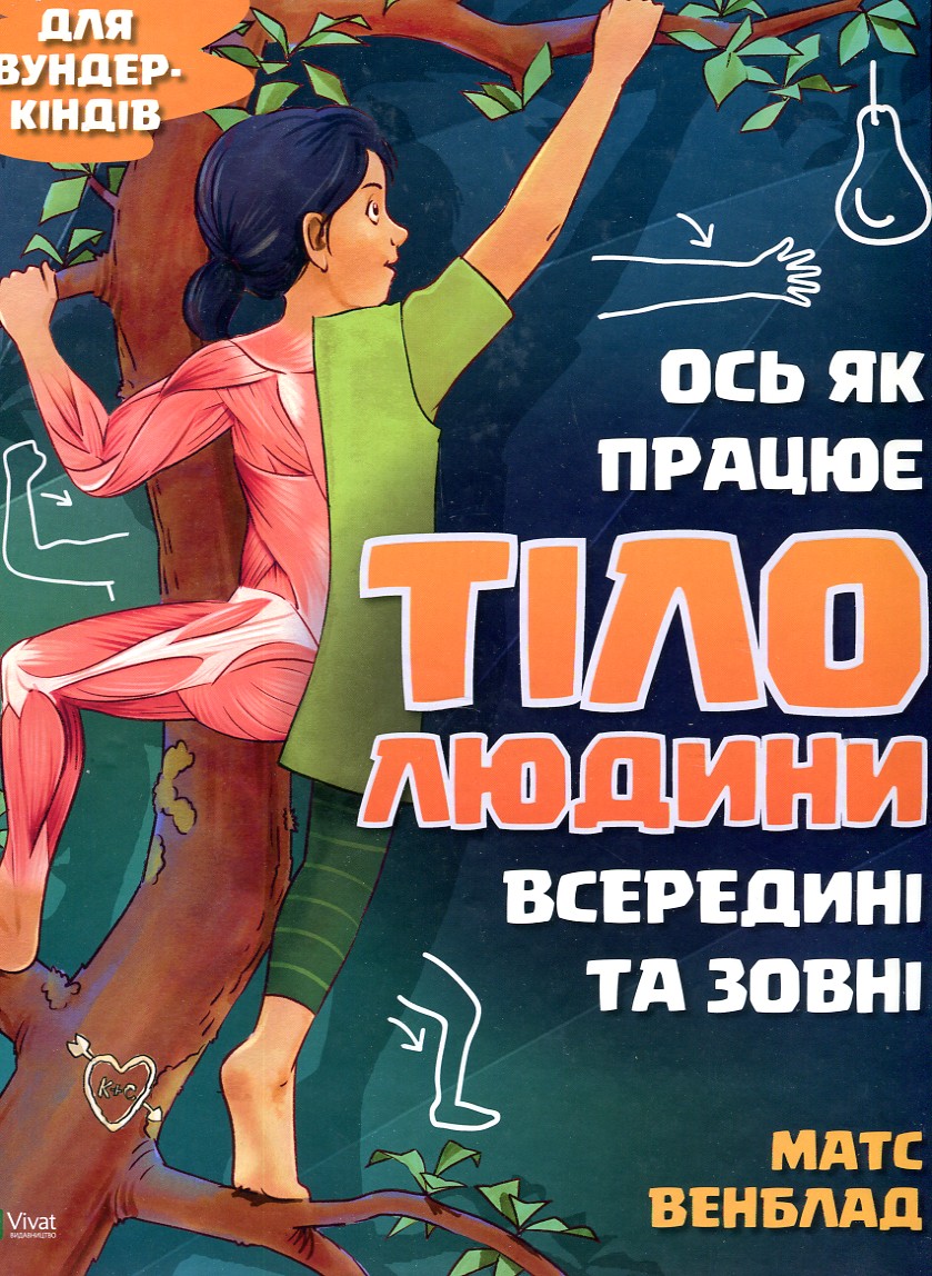 

Ось як працює тіло людини всередині та зовні (Енциклопедія) - Матс Венблад