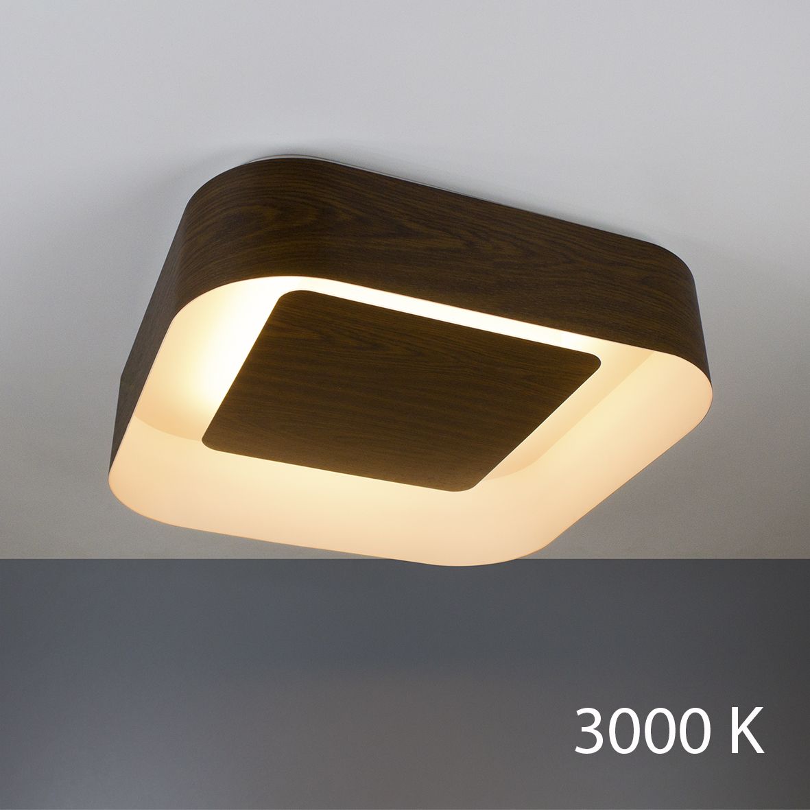 

Светильник потолочный Imperium Light Zenith 398165.45.91