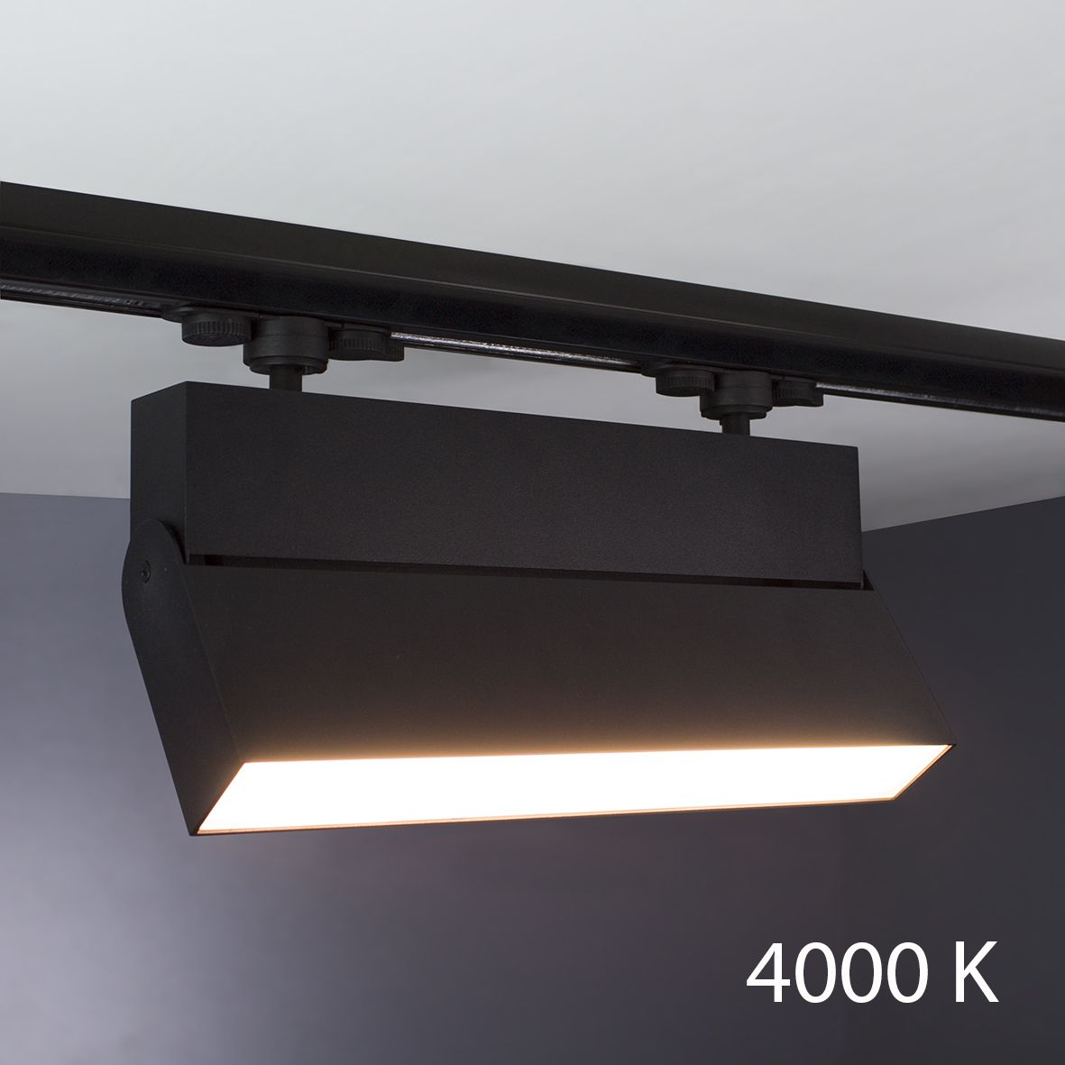 

Трековый светильник Imperium Light Attache 300133.05.92