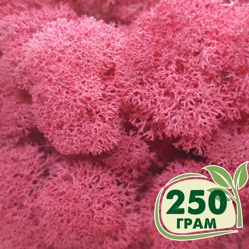 

Стабилизированный мох ягель Nordic moss Цикламен 250 грамм