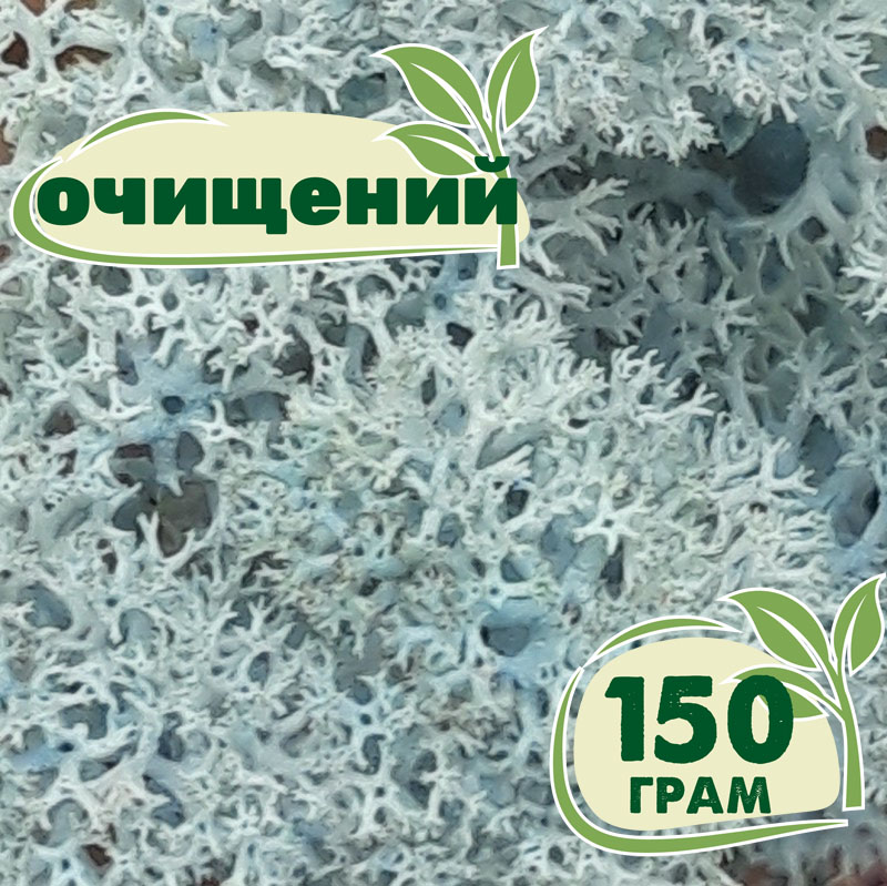 

Очищенный стабилизированный мох ягель Nordic moss Ледяной голубой 150 грамм