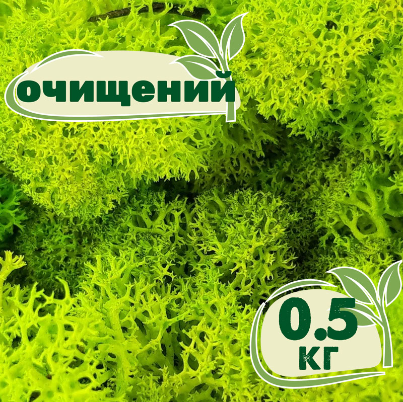 

Очищенный стабилизированный мох ягель Nordic moss Зеленый весенний 0,5 кг
