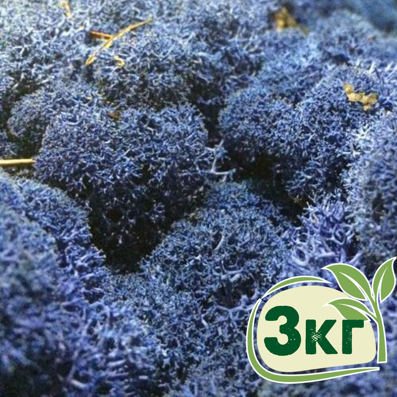 

Стабилизированный мох ягель Nordic moss Синий лазурный 3 кг