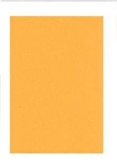 

PROFI Бумага офисная цветная A4 160г / м 250л интенсив золото Deep Gold 36390