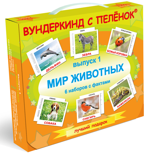 

Подарочный набор №1 «Мир животных», русский язык(095146)