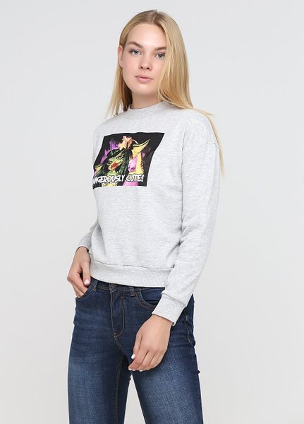 

Свитшот C&A XL серый (1094-175)