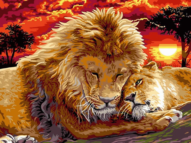 

Картина по номерам 30×40 см. Babylon Львиная нежность (VK 102)