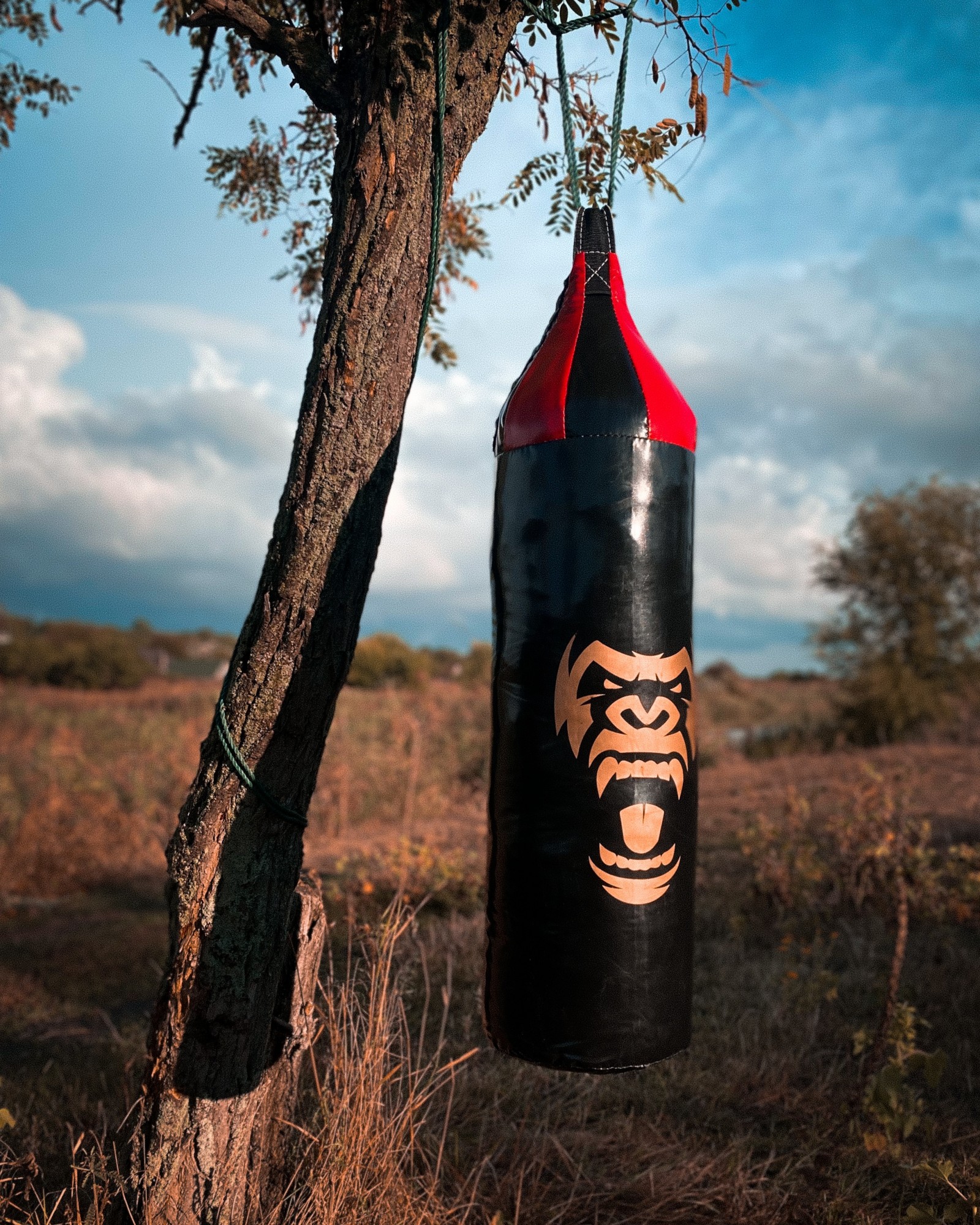 

Боксерский мешок груша BIG MONKEY из ПВХ 80 см черный