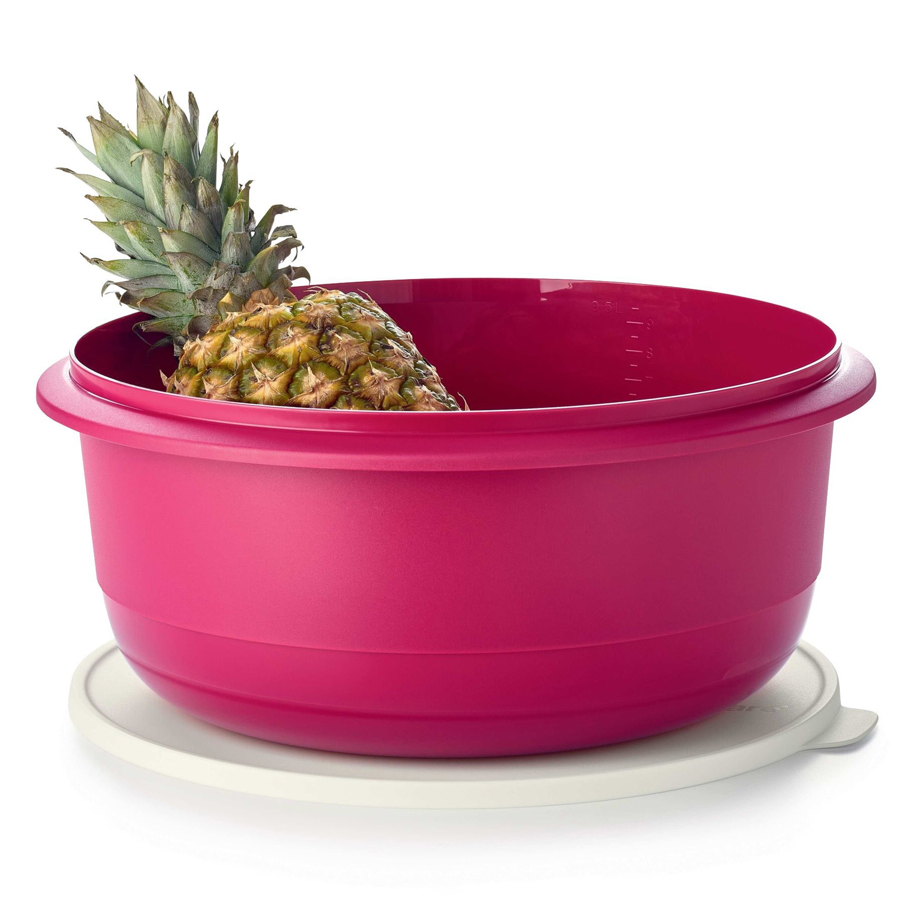 

Замесочное блюдо 9,5 л Профи Tupperware (Б46)