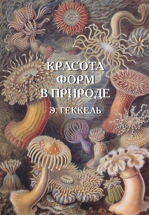 

Красота форм в природе. Э. Геккель (1102017)