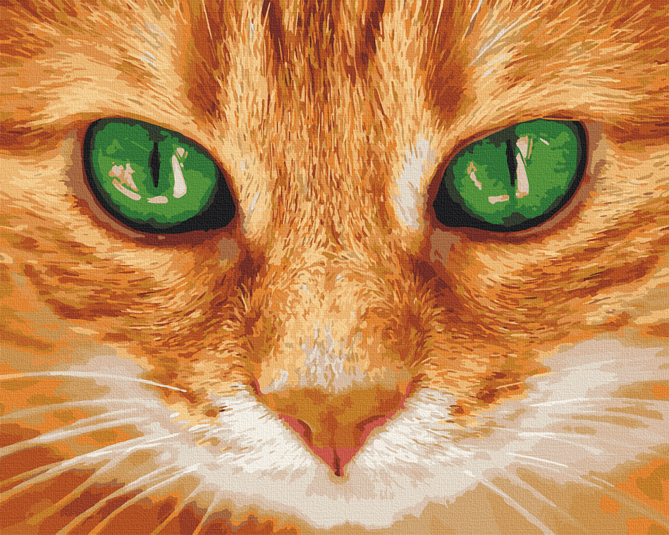 

Картина по номерам. Art Craft "Зелёные глаза" 40x50 см (11620-AC)