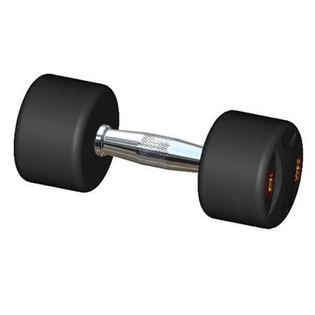 

Гантель Stein Обрезиненная 58 кг (DB3051-58)