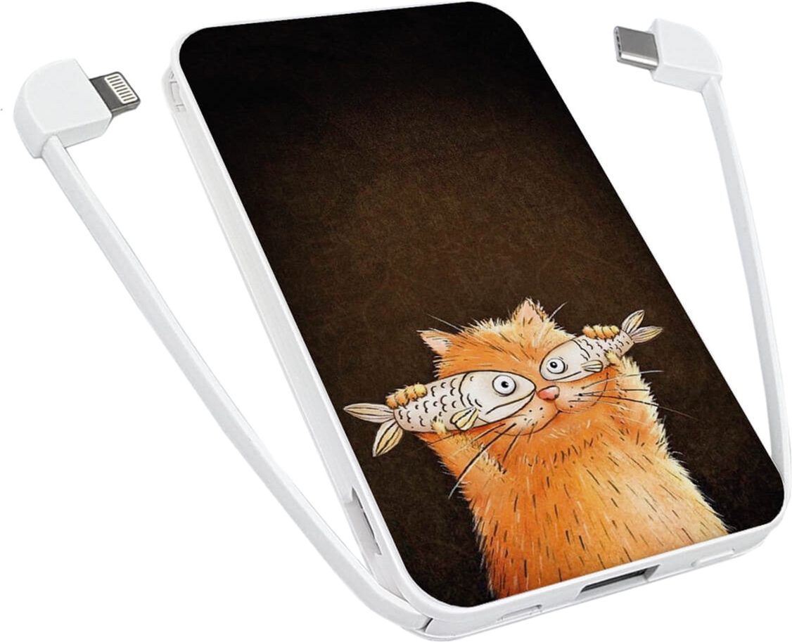 

УМБ ZIZ Котофей 5000 mAh
