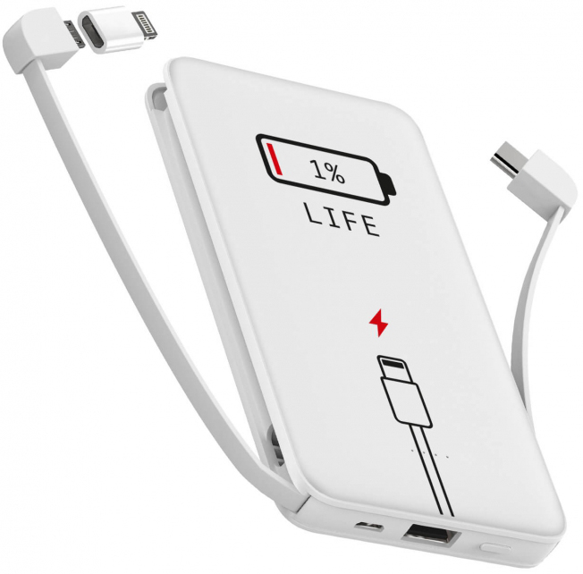 

УМБ ZIZ 1% 10000 mAh