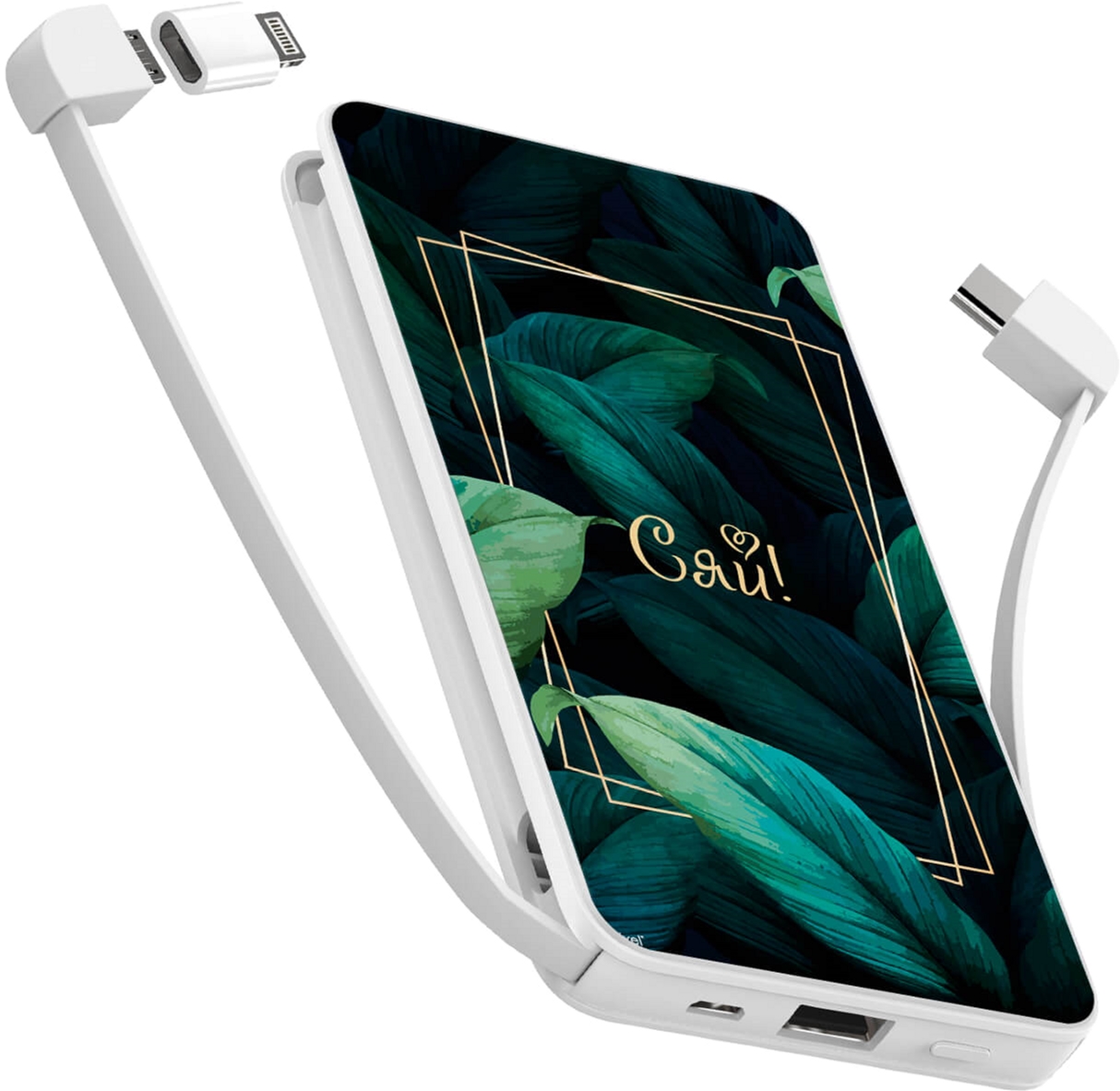 

УМБ ZIZ Сияй 10000 mAh