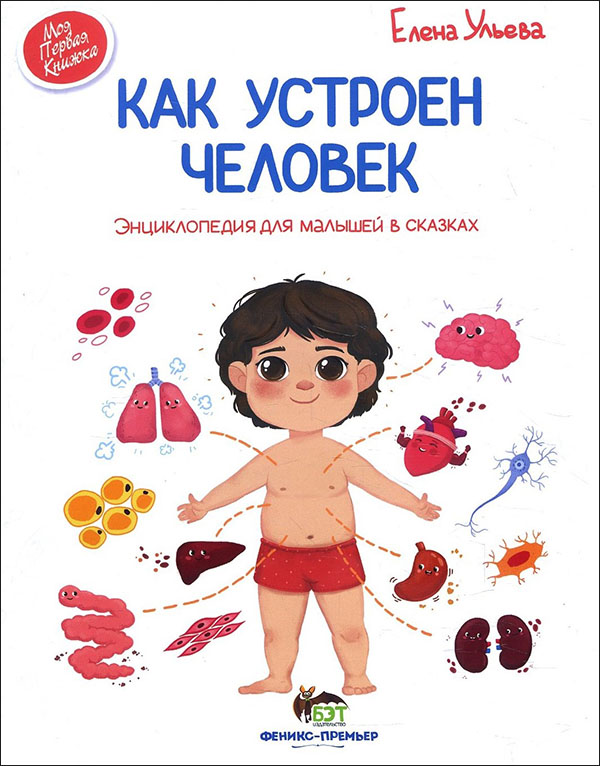 

Как устроен человек. Энциклопедия для малышей в сказках - Елена Ульева (978-966-925-233-3)