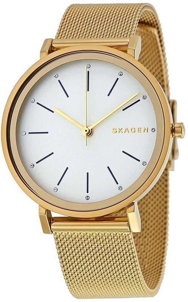 

Часы SKAGEN SKW2509