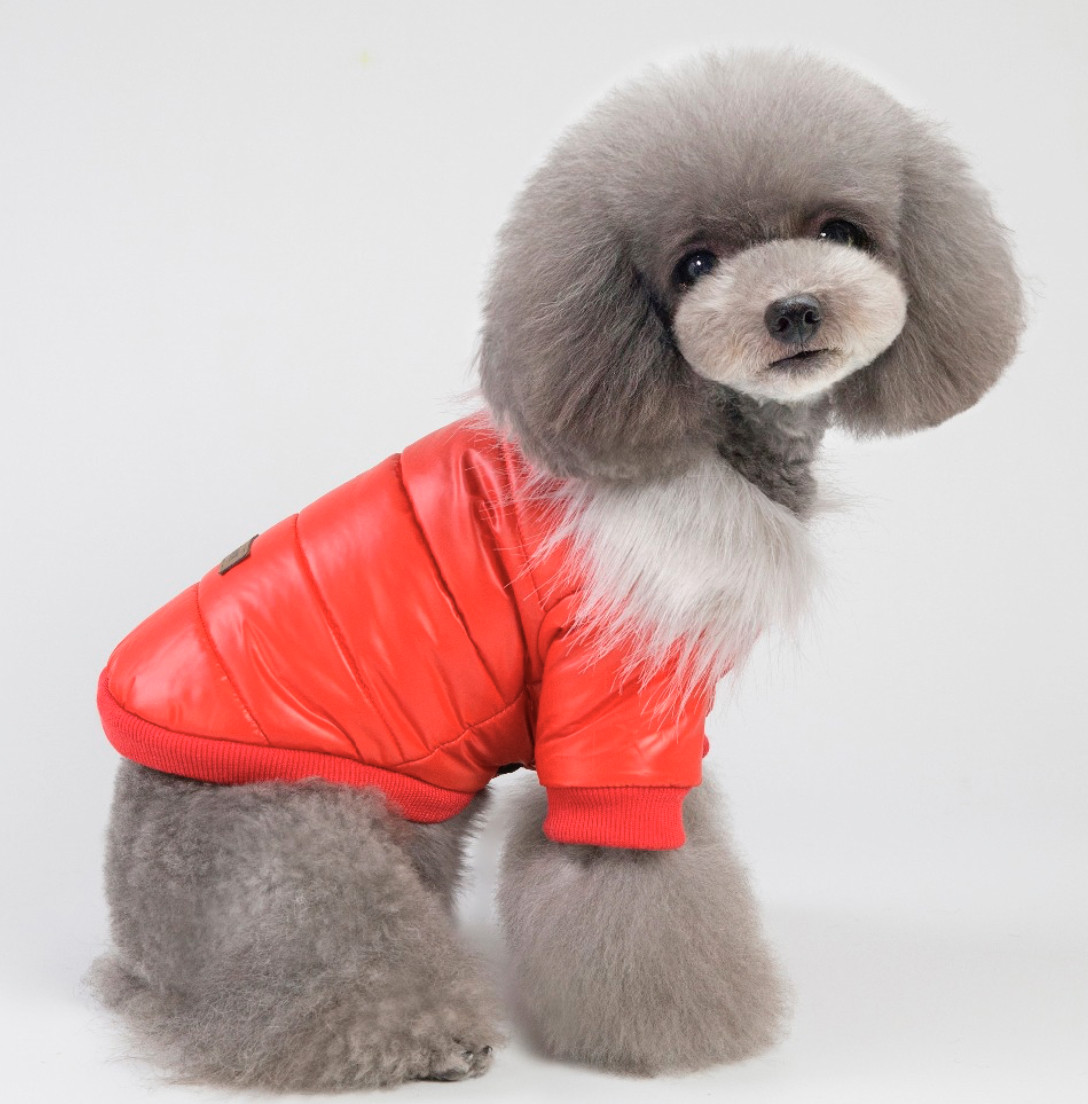 

Куртка для собак с меховым воротником Dog Baby Style S Red