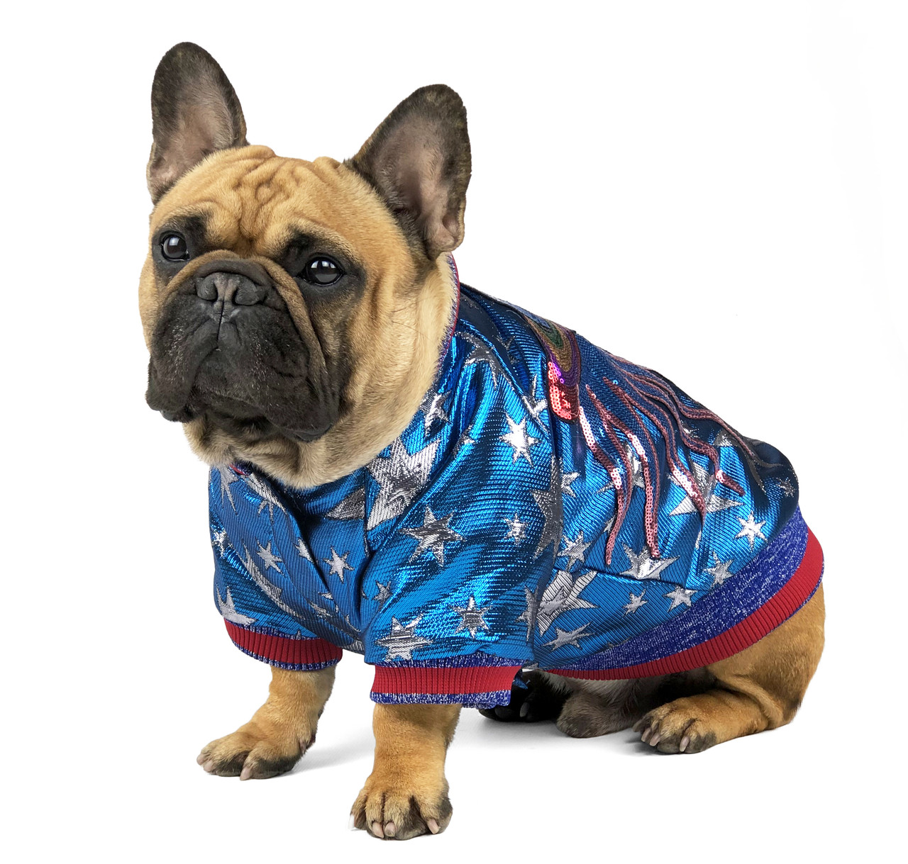

Куртка для собак средних пород Ideapet Space Blue L