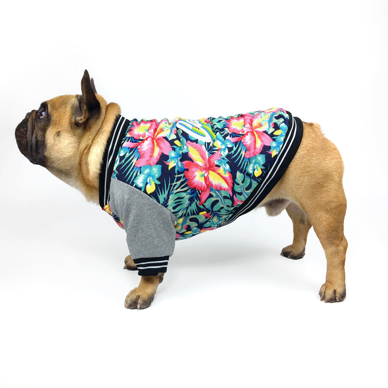 

Куртка для собак DogClub Hawaii Multicolor XL