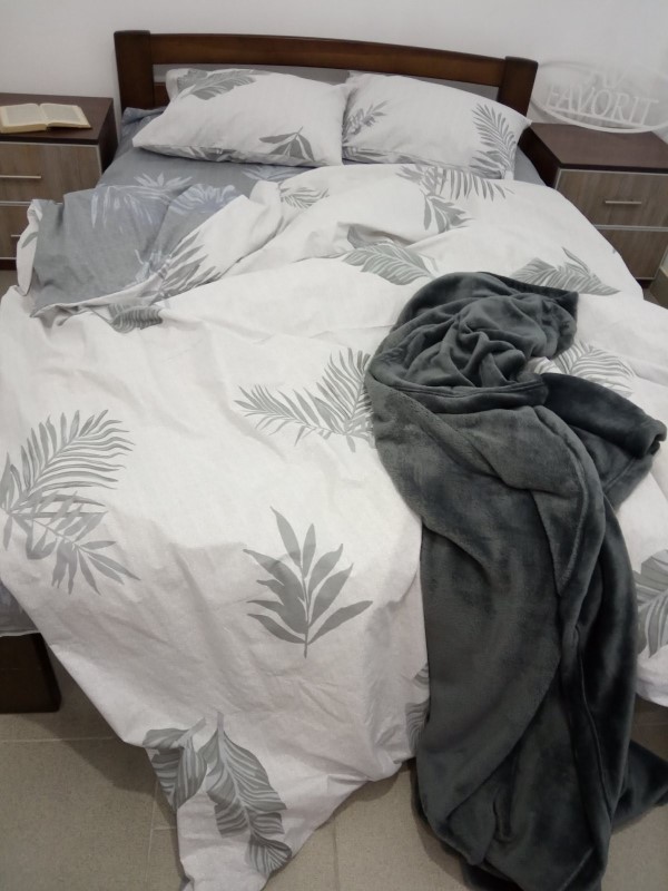 

Комплект постельного белья AV-favorit Бязь Люкс 150*220 Папороть (b-01112)
