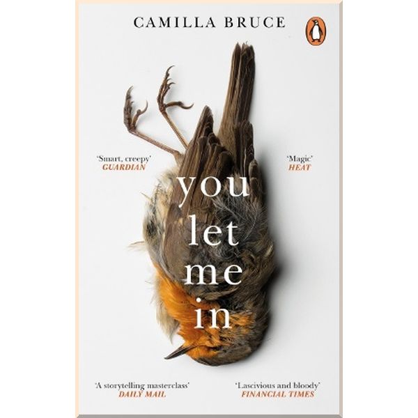 

You Let Me In. Camilla Bruce. ISBN:9781784164508