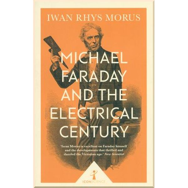 

Michael Faraday and The Electrical Century. Iwan Morus. ISBN:9781785782671