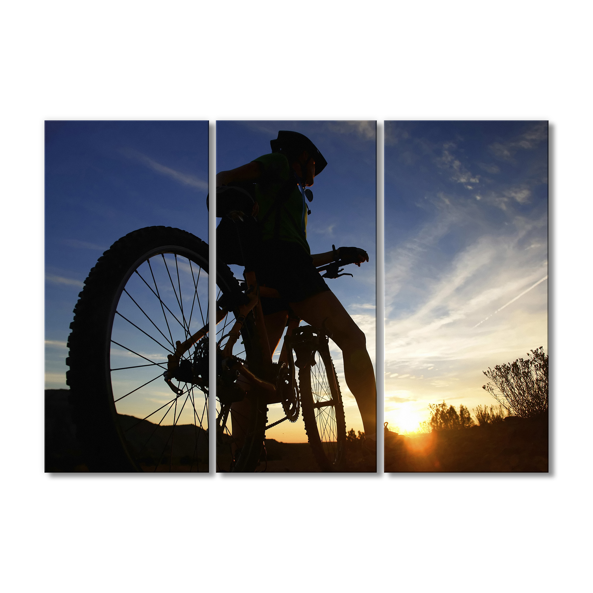 

Модульная картина Artel «Вечерняя прогулка на велосипеде» 3 модуля 70x105 см