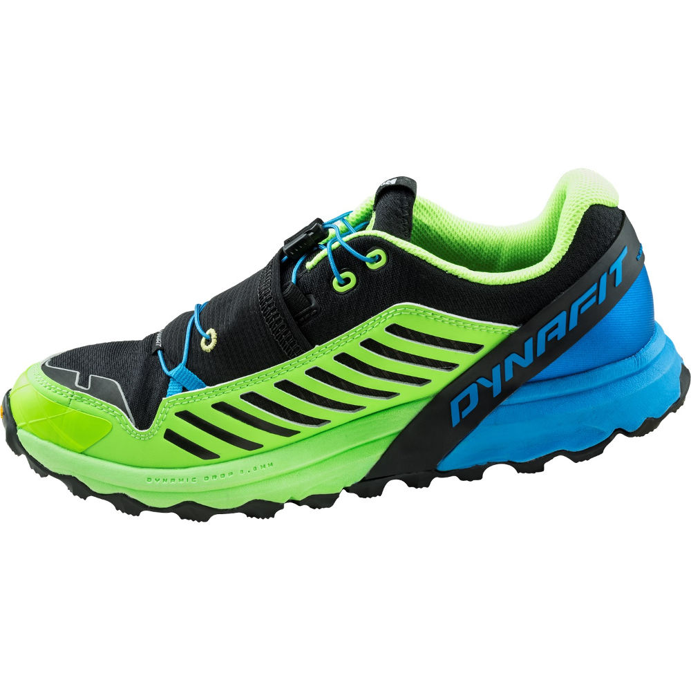 

Кросівки Dynafit Alpine Pro 41 Зелений (016.001.0097)