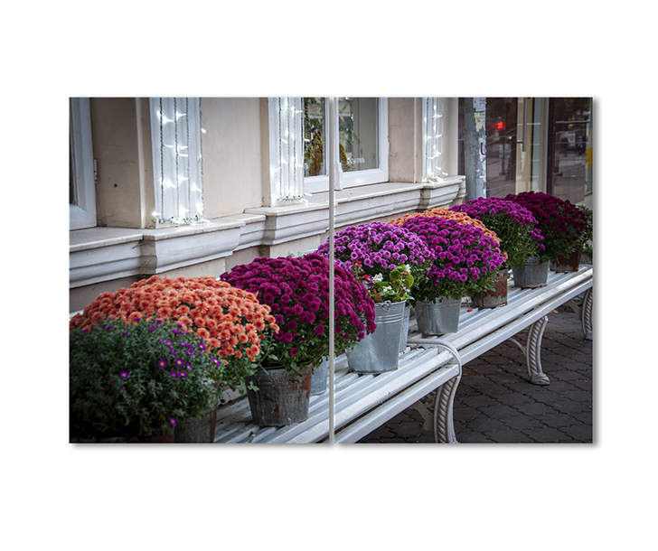 

Модульная картина Artel «Вазоны под окном» 2 модуля 70x105 см