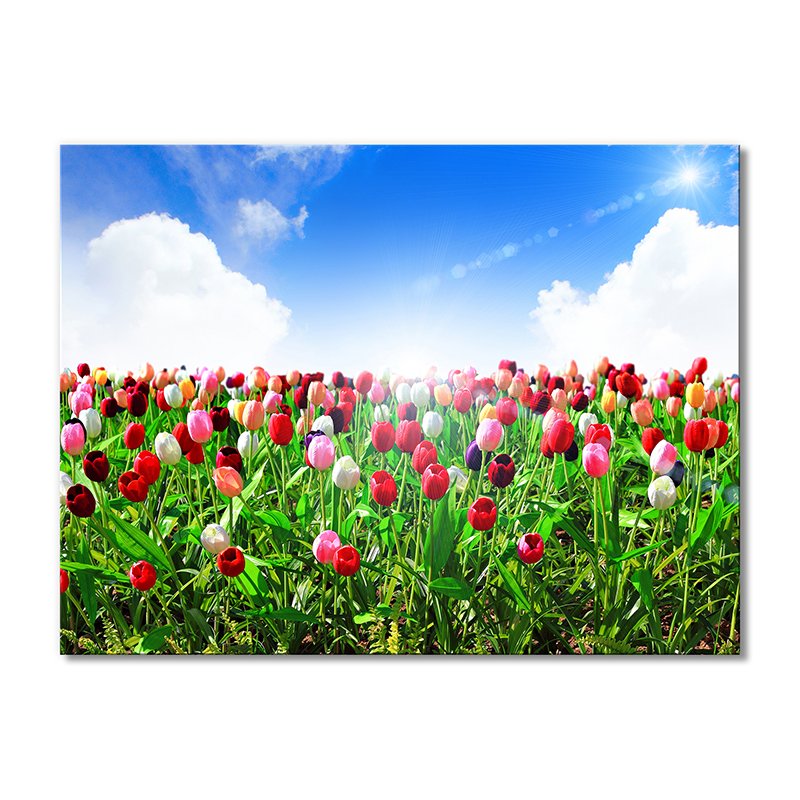 

Модульная картина Artel «Голубое небо над тюльпанами» 1 модуль 80x120 см