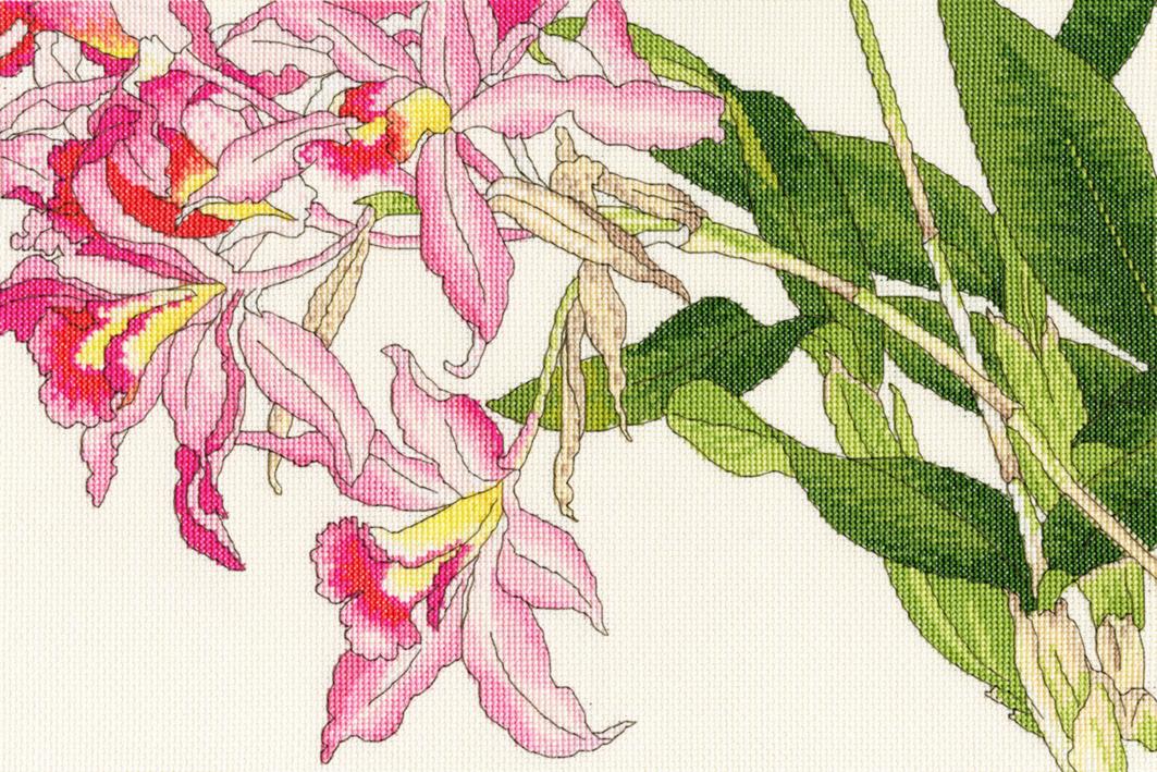 

Набор для вышивания крестом Orchid blooms Цветет орхидея XBD16 Bothy Threads