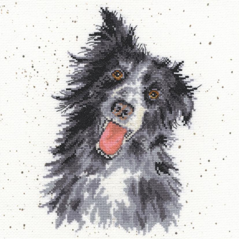 

Набор для вышивания крестом Collie Колли XHD10 Bothy Threads