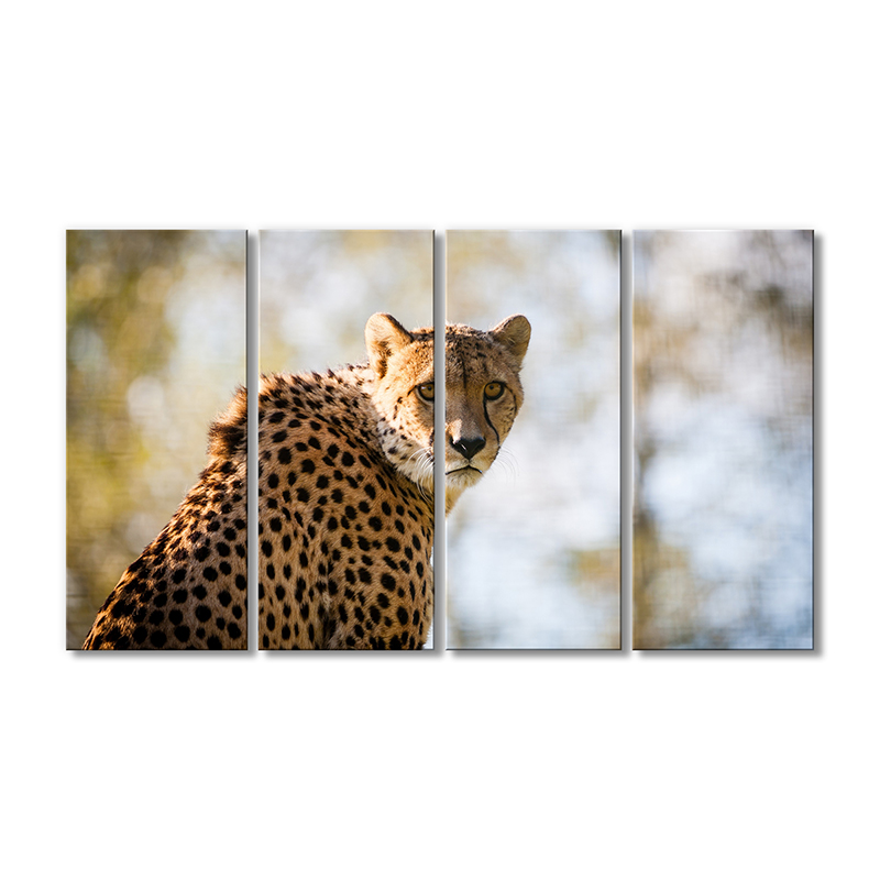 

Модульная картина Artel «Гепард» 4 модуля 80x120 см