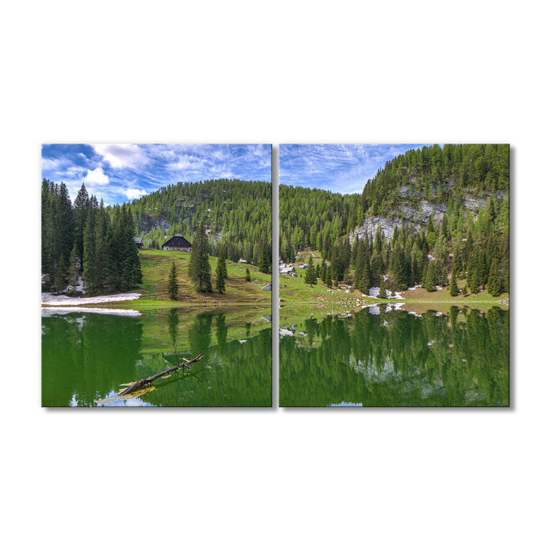 

Модульная картина Artel «Горный пейзаж ели и озеро» 2 модуля 90x135 см