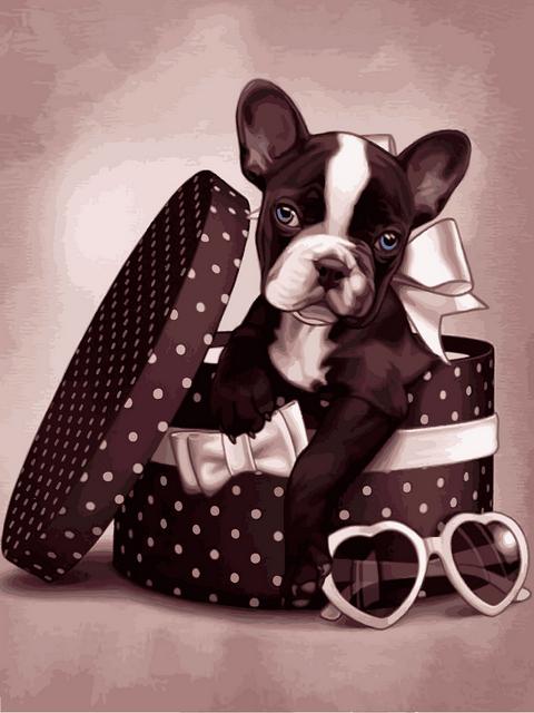 

Картина по номерам рисование Babylon VK270 Стильный пес 30х40см набор для росписи по цифрам в коробке