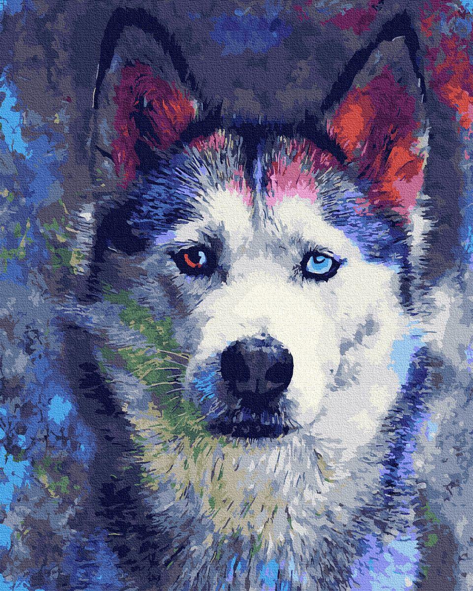 

Картина по номерам GX30357 Одинокий взгляд, 40х50 см., Rainbow Art