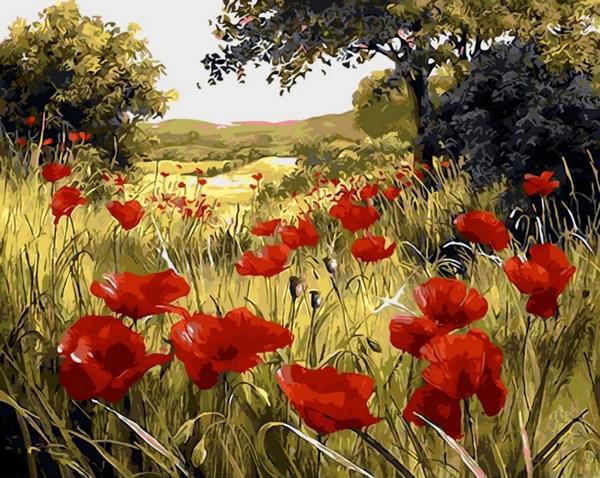 

Картина по номерам Q1432 Маковая поляна. Худ. Мари Дипнал, 40x50 см., Mariposa