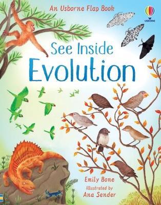 

See Inside Evolution. Board book