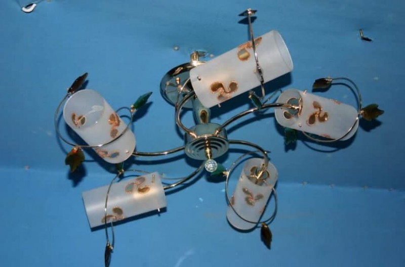 

Люстра с плафонами Ray 146/5 (FGD+BRN) (AN003755)