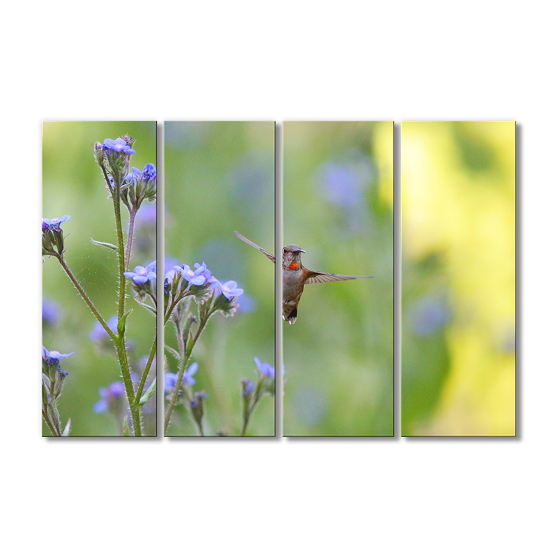 

Модульная картина Artel «Колибри» 4 модуля 80x120 см