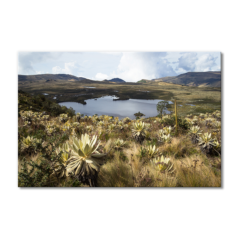 

Модульная картина Artel «Колумбия Озеро холмы» 1 модуль 70x105 см