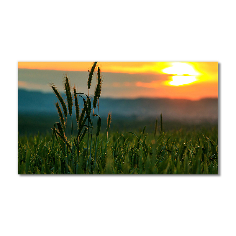 

Модульная картина Artel «Колоски и закат» 1 модуль 70x105 см